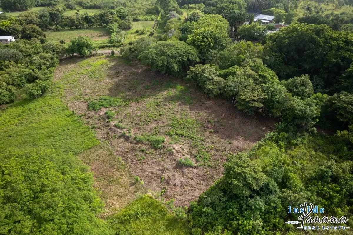 Terreno à Venda em Bejuco