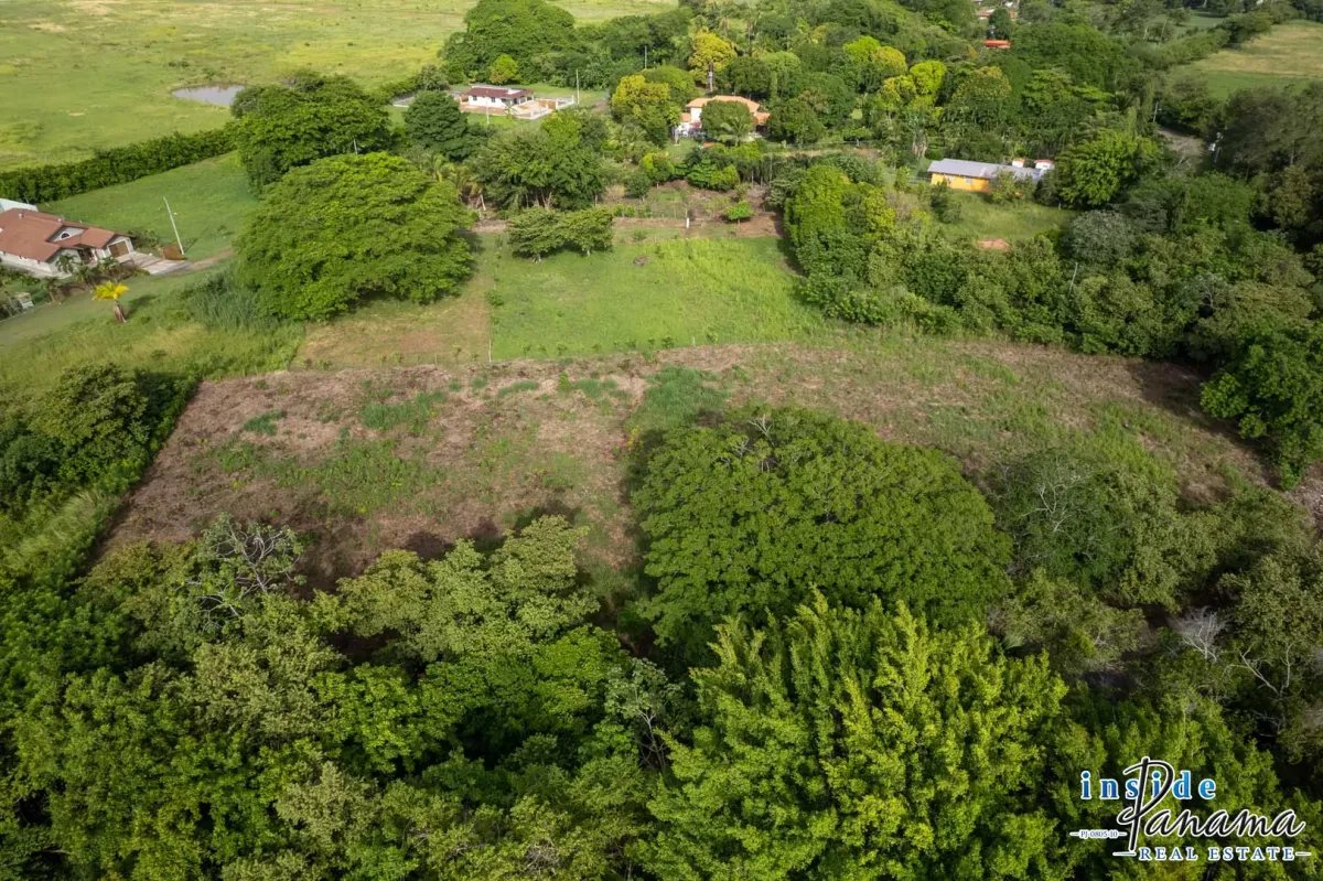 Terreno à Venda em Bejuco