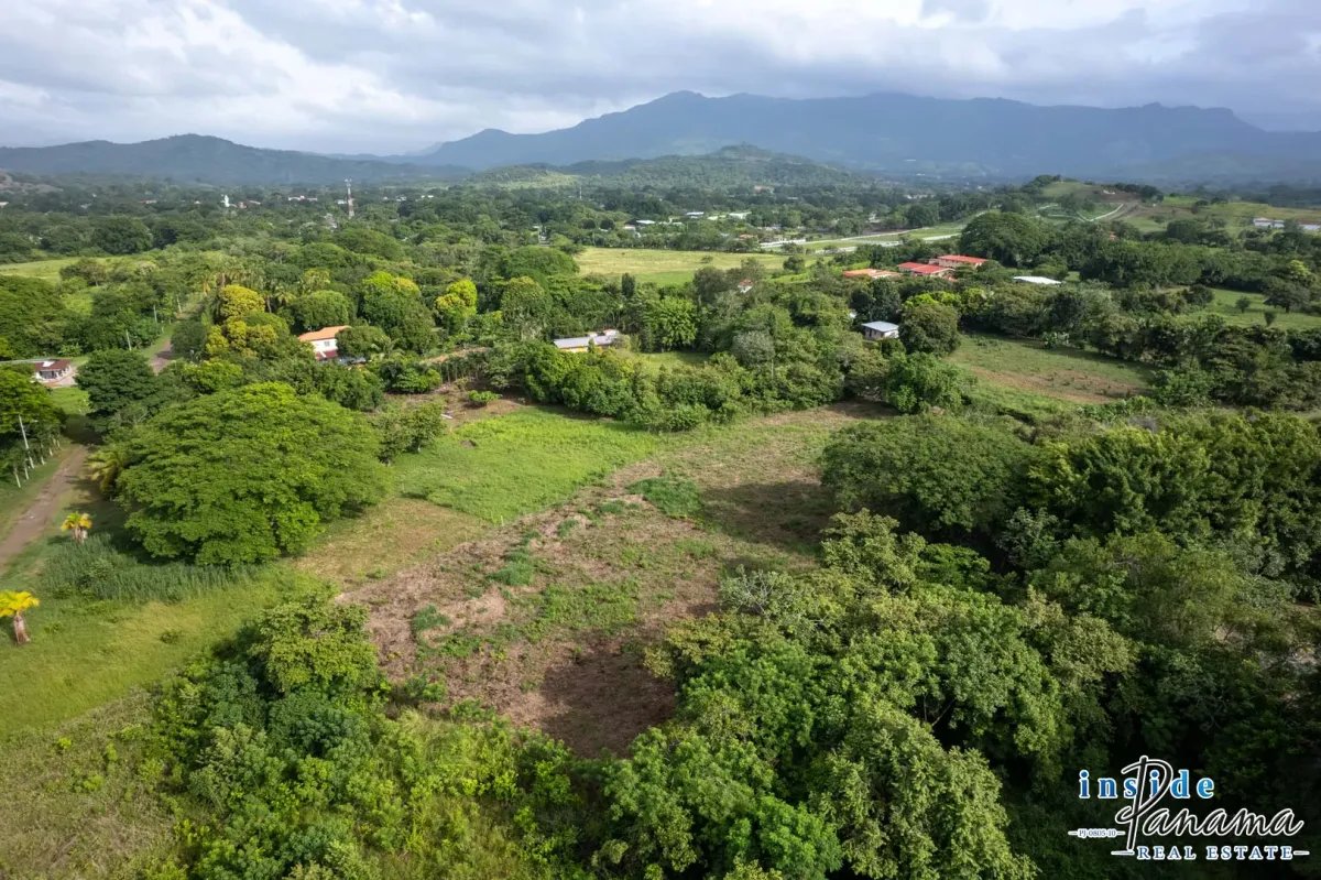Terreno à Venda em Bejuco
