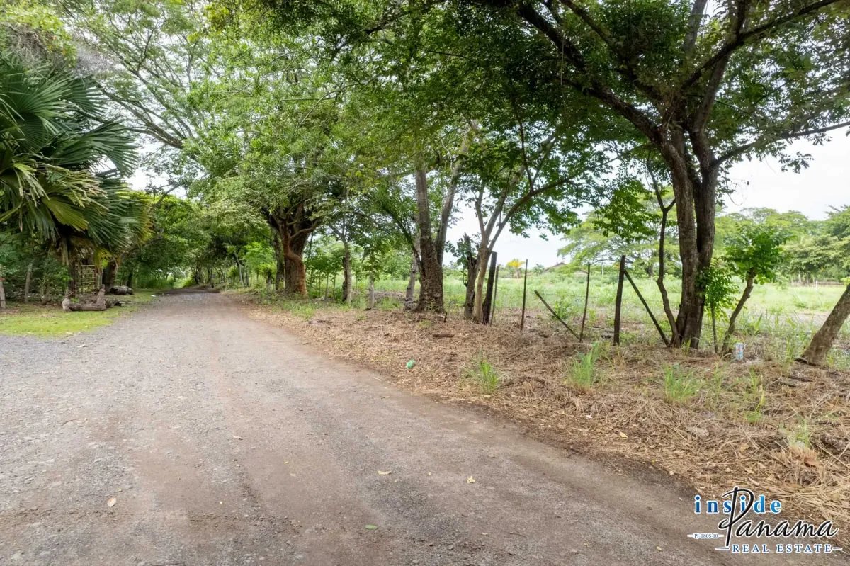 Terreno à Venda em Bejuco
