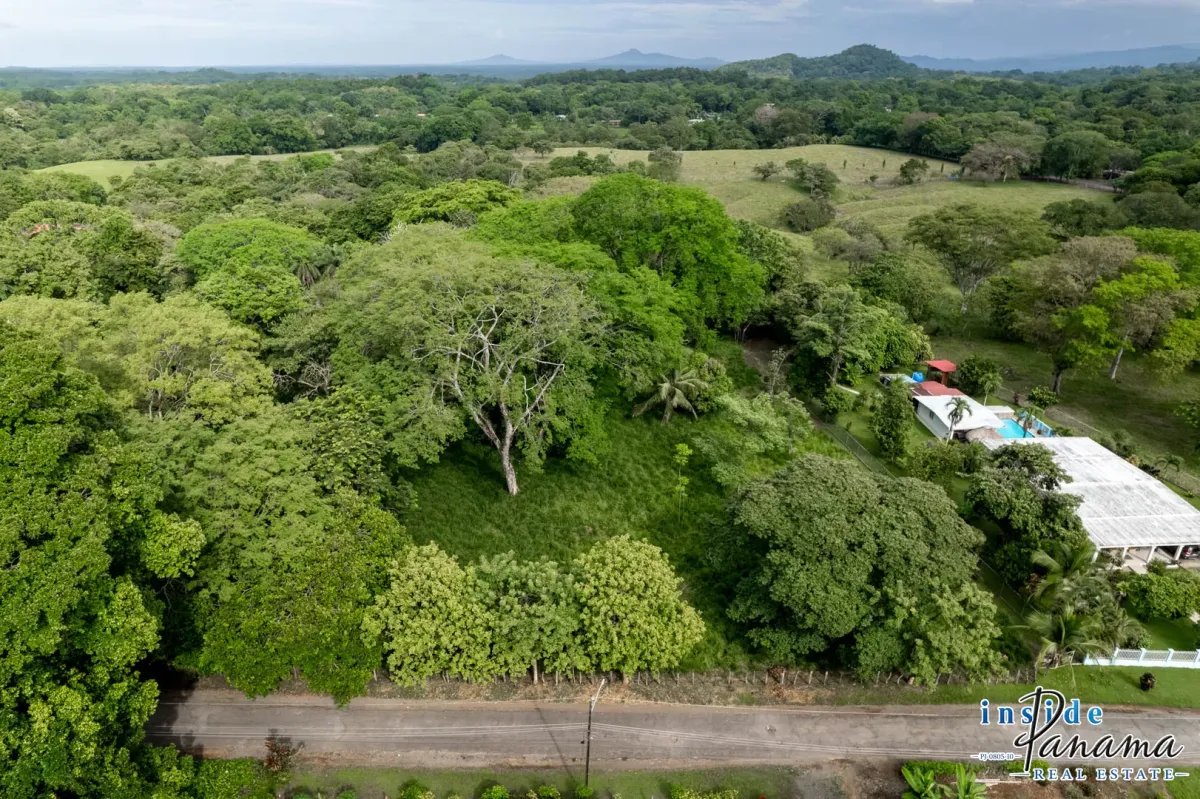 Terreno à Venda em Las Lajas