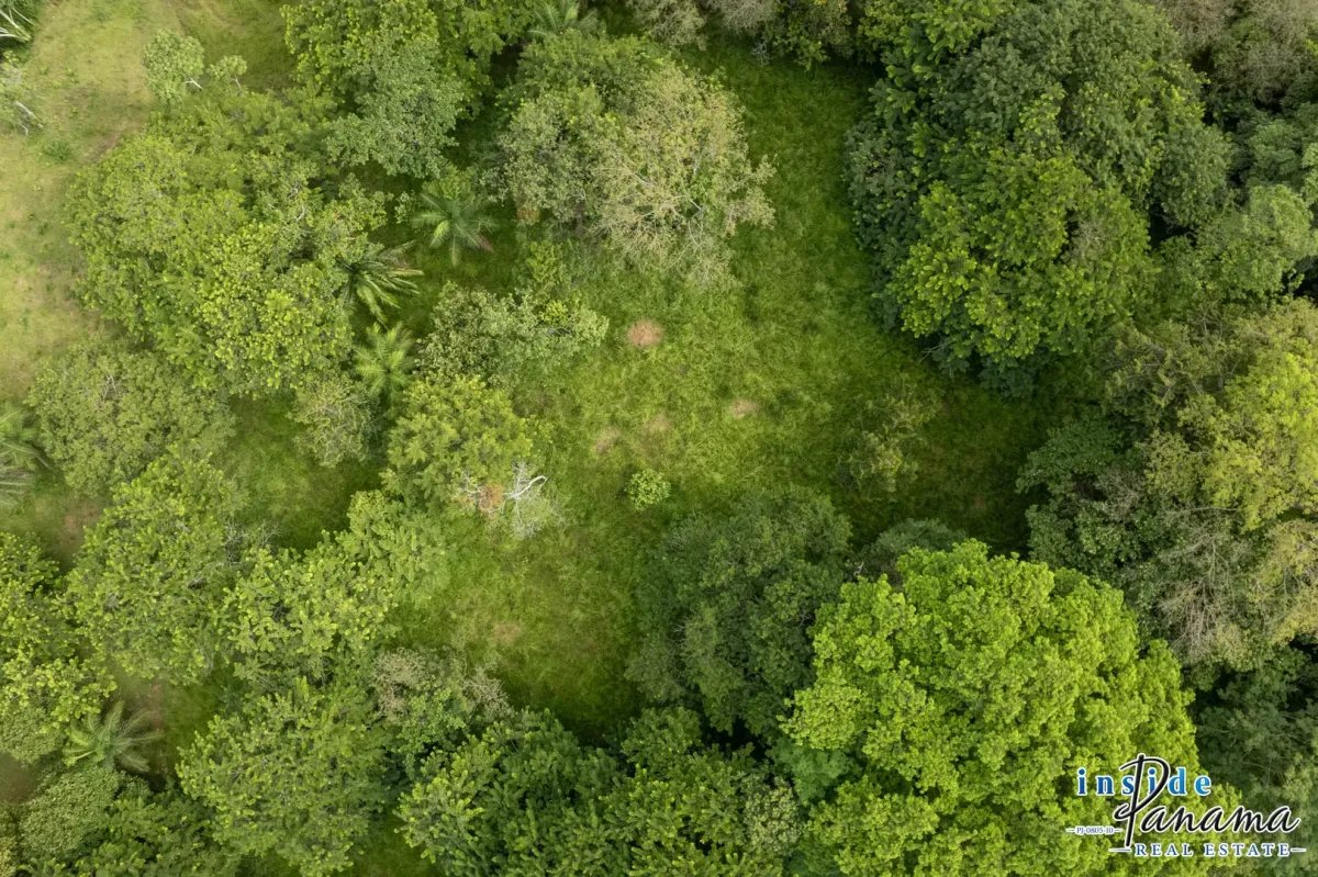 Terreno à Venda em Las Lajas