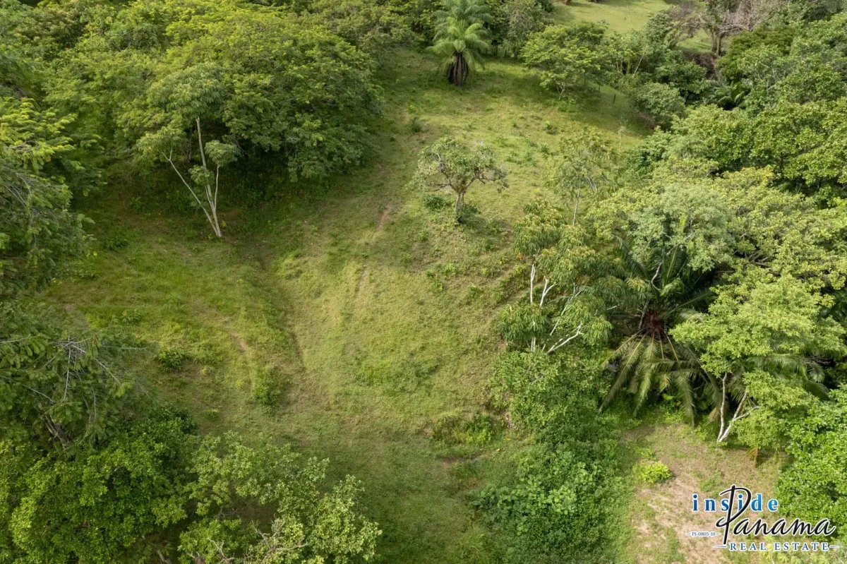 Terreno à Venda em Las Lajas