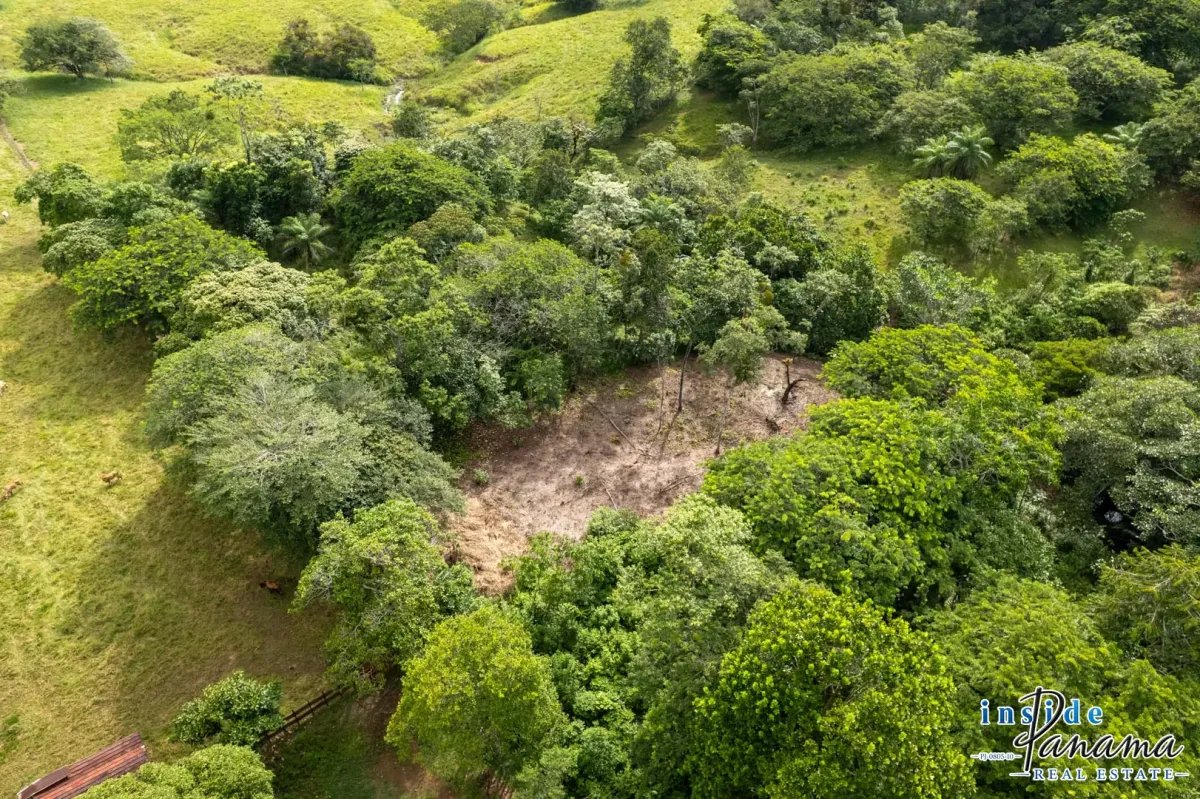 Terreno à Venda em Las Lajas