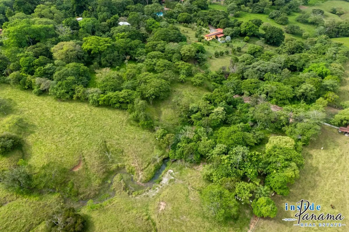 Terreno à Venda em Las Lajas