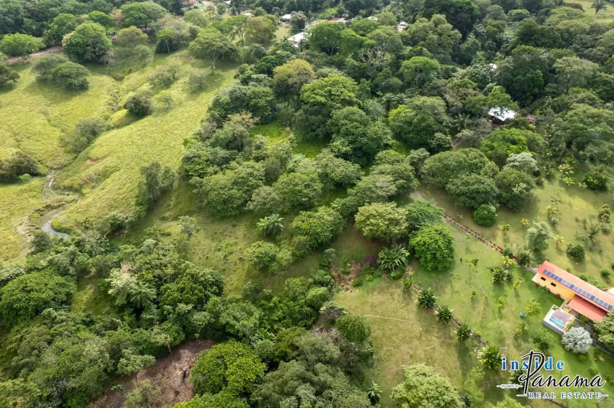 Terreno à Venda em Las Lajas