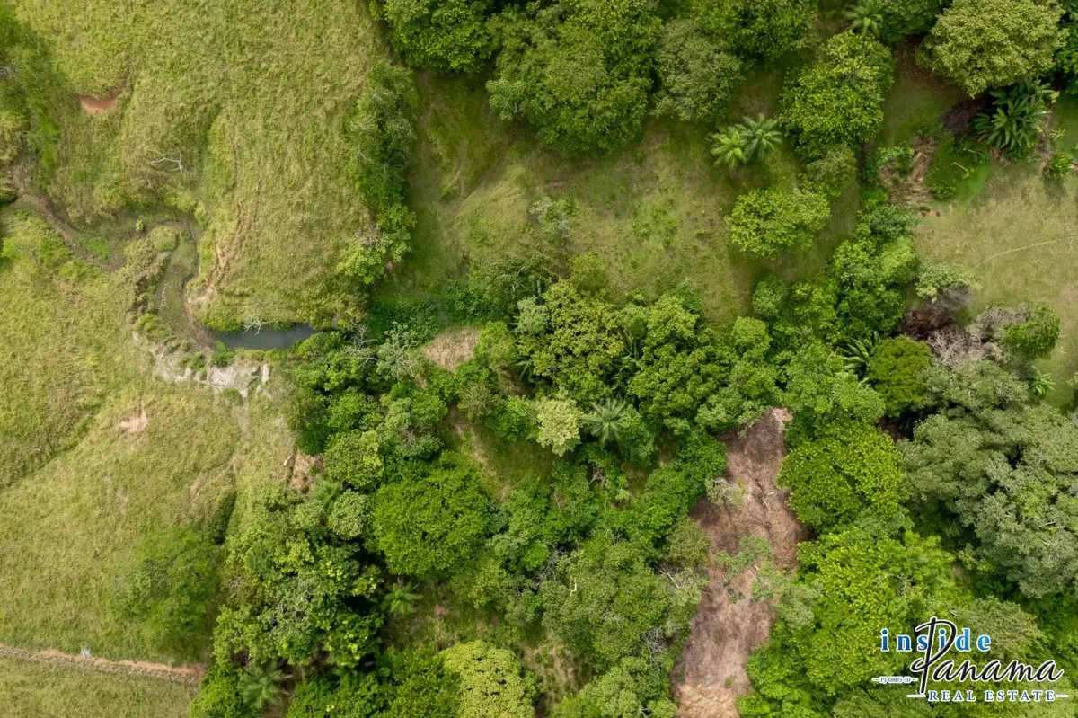 Terreno à Venda em Las Lajas