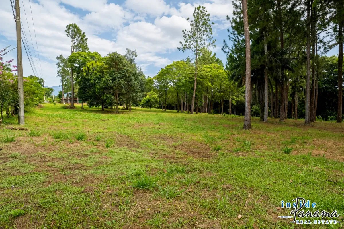 Land for Sale in Potrerillos Arriba Dolega Chiriqui Panama