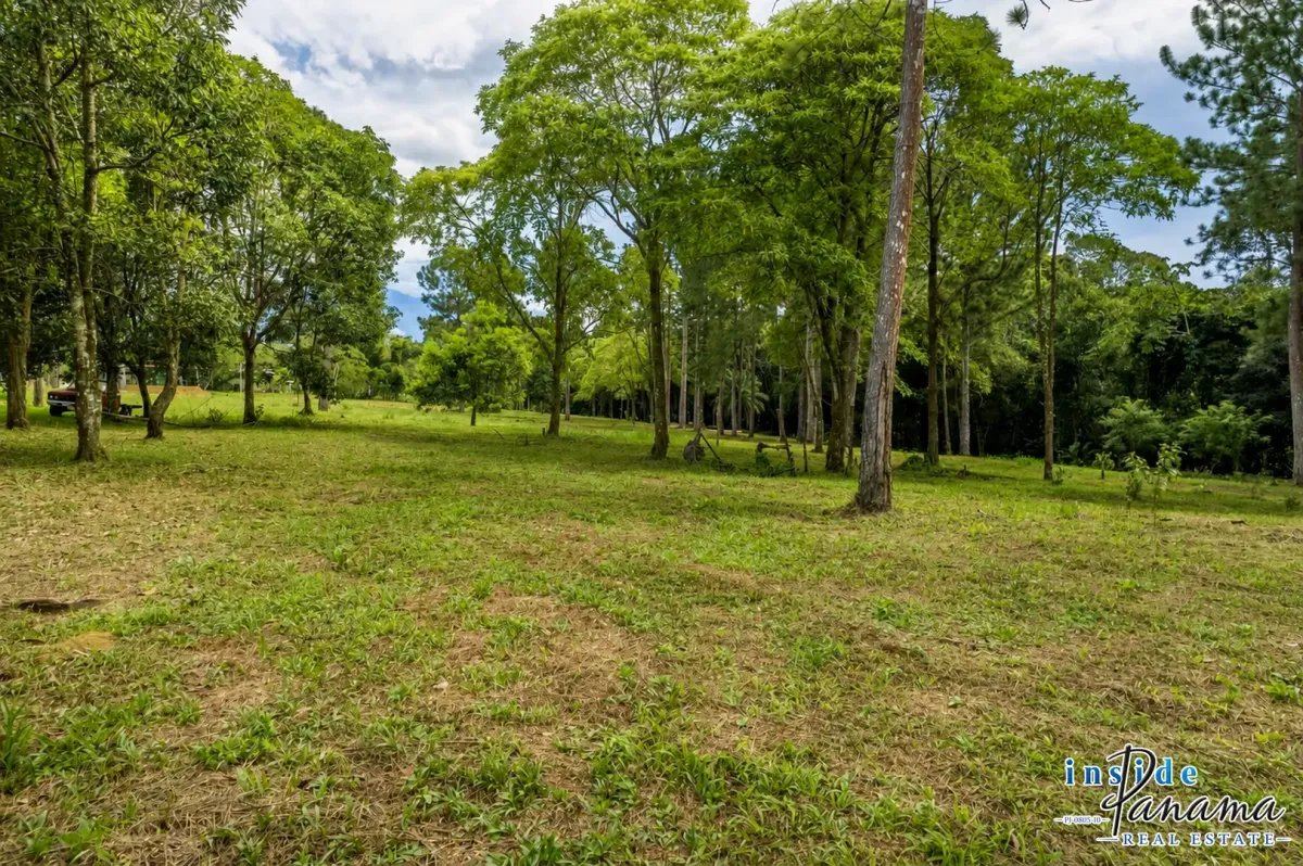 Land for Sale in Potrerillos Arriba Dolega Chiriqui Panama