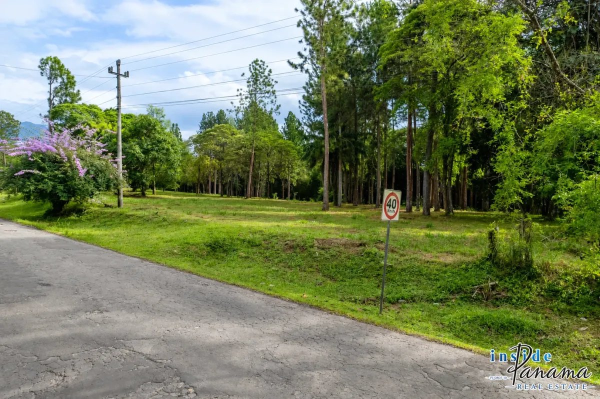 Land for Sale in Potrerillos Arriba Dolega Chiriqui Panama