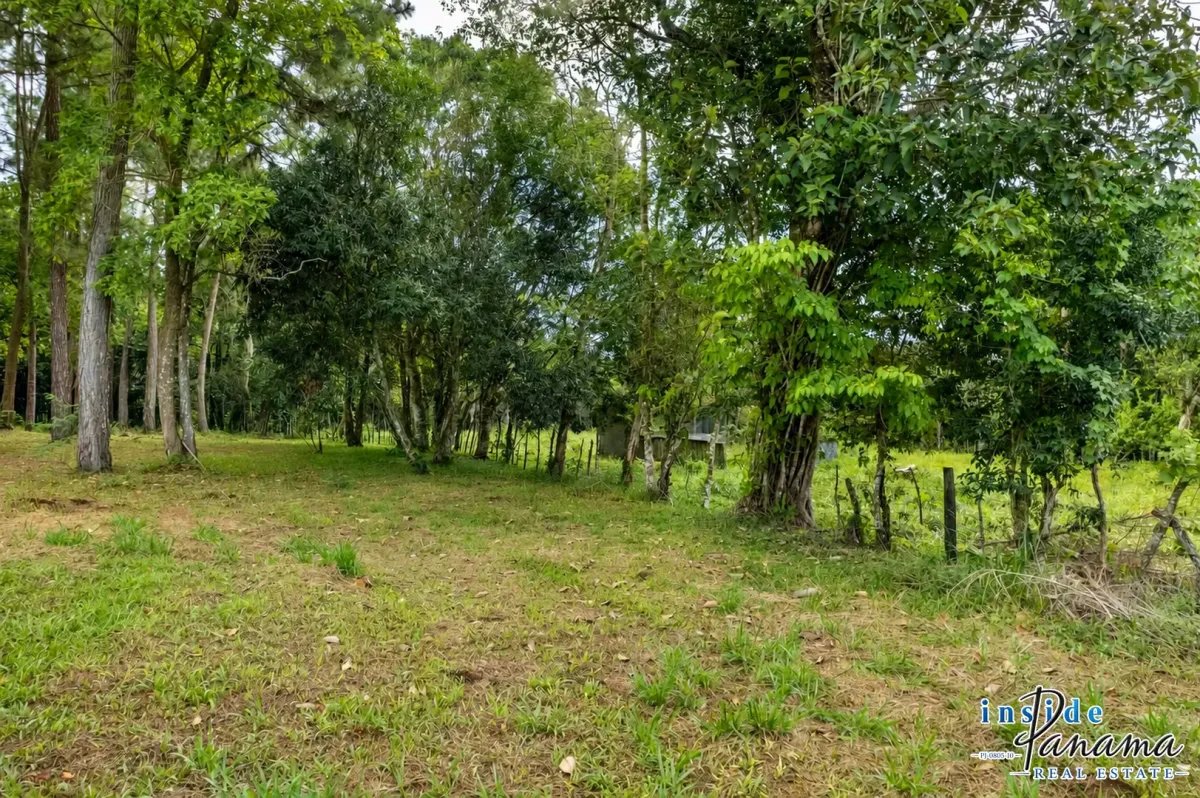 Land for Sale in Potrerillos Arriba Dolega Chiriqui Panama
