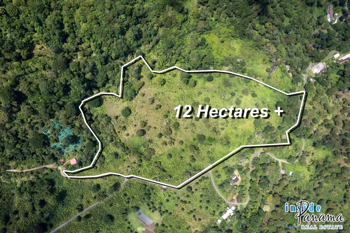Terreno à Venda em Chorrera