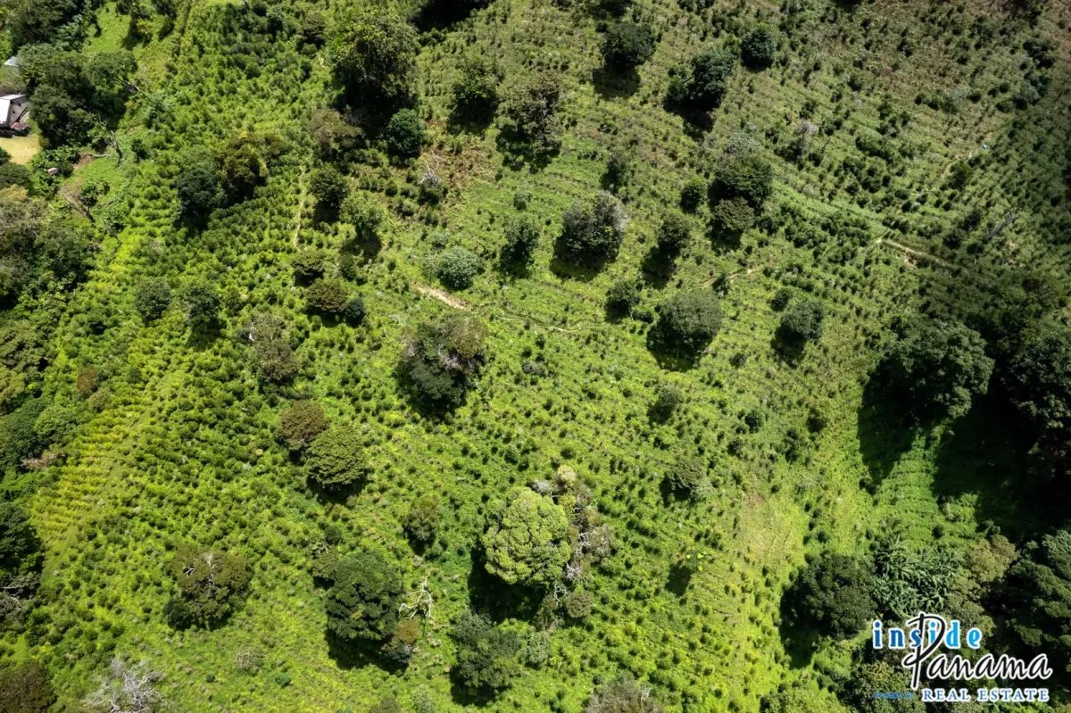 Terreno à Venda em Boquete