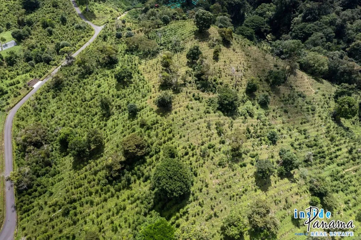 Terreno à Venda em Boquete