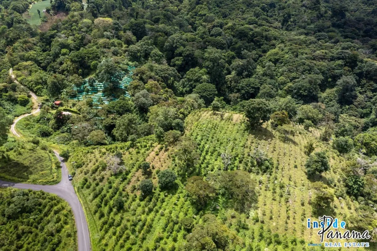 Terreno à Venda em Boquete