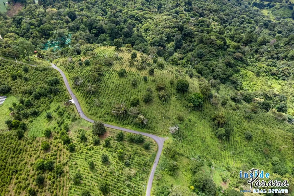 Terreno à Venda em Boquete