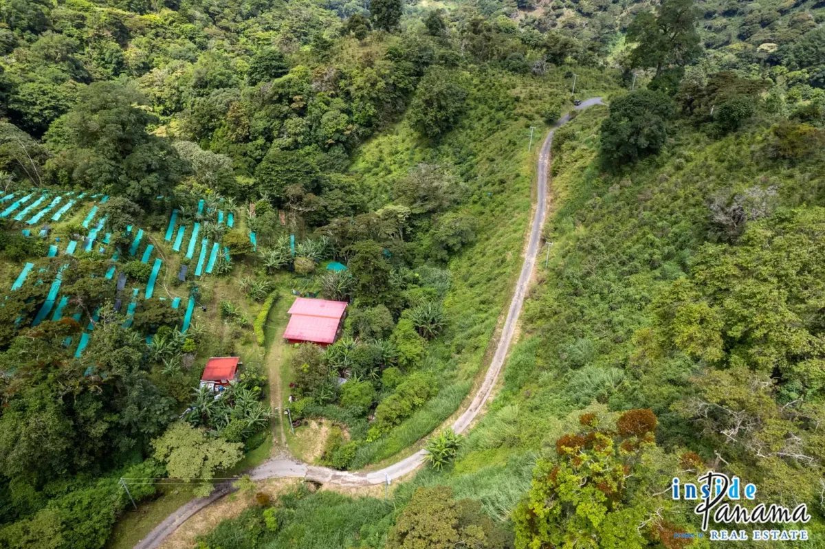 Terreno à Venda em Boquete