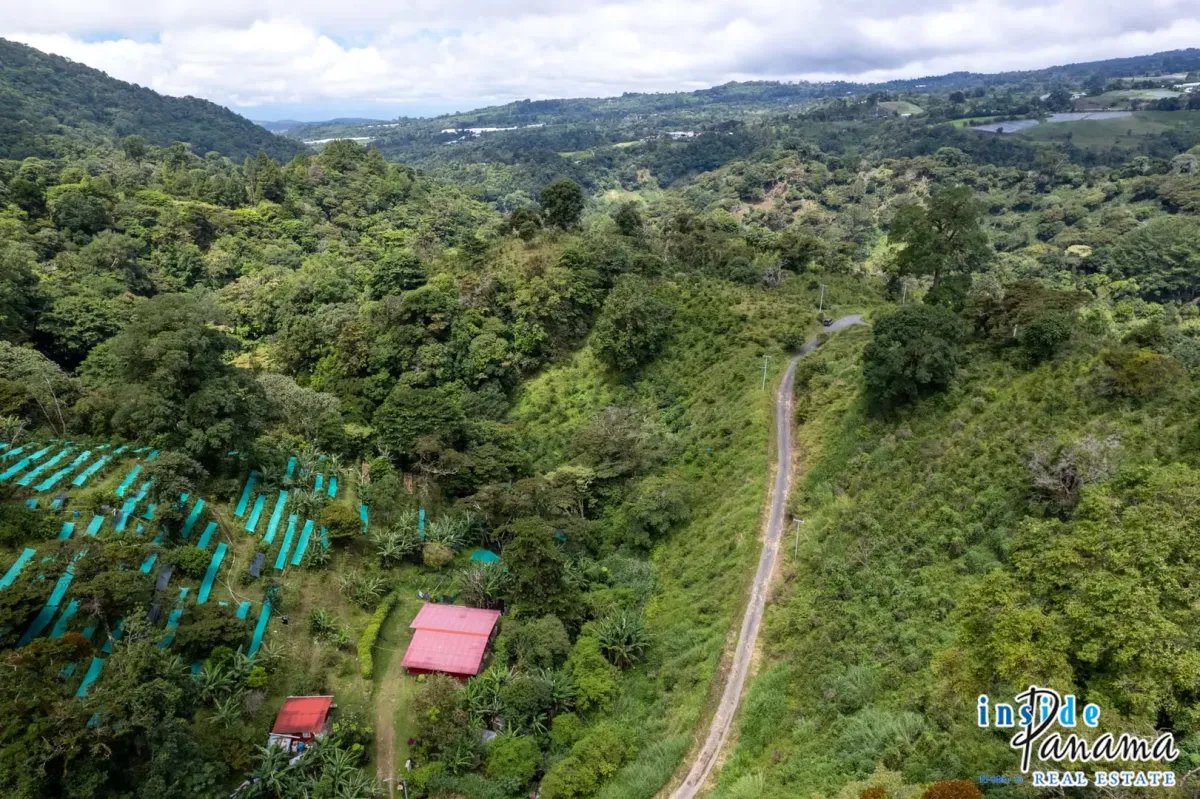 Terreno à Venda em Boquete