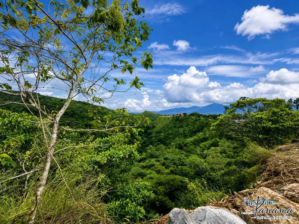 Terreno à Venda em Boquete