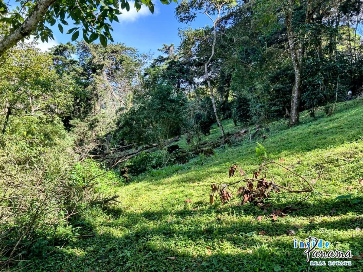 Terreno à Venda em Boquete