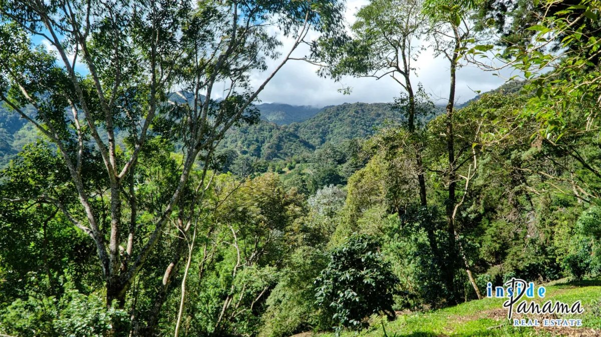 Terreno à Venda em Boquete