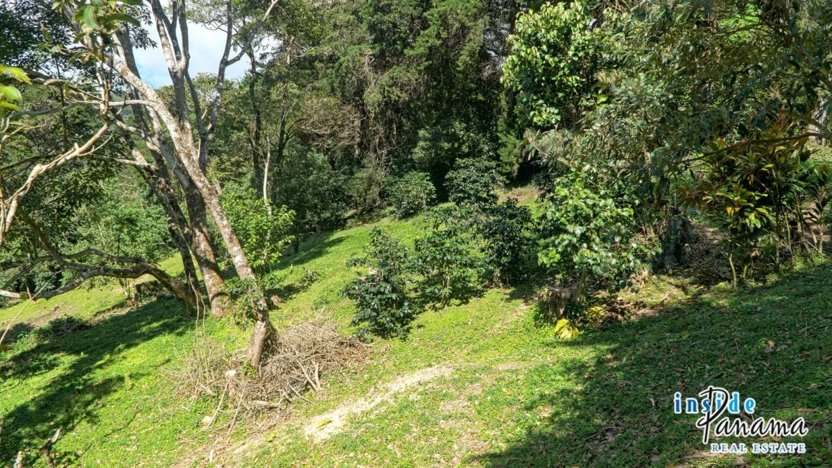 Terreno à Venda em Boquete