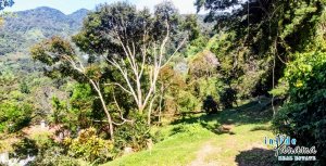 Terreno à Venda