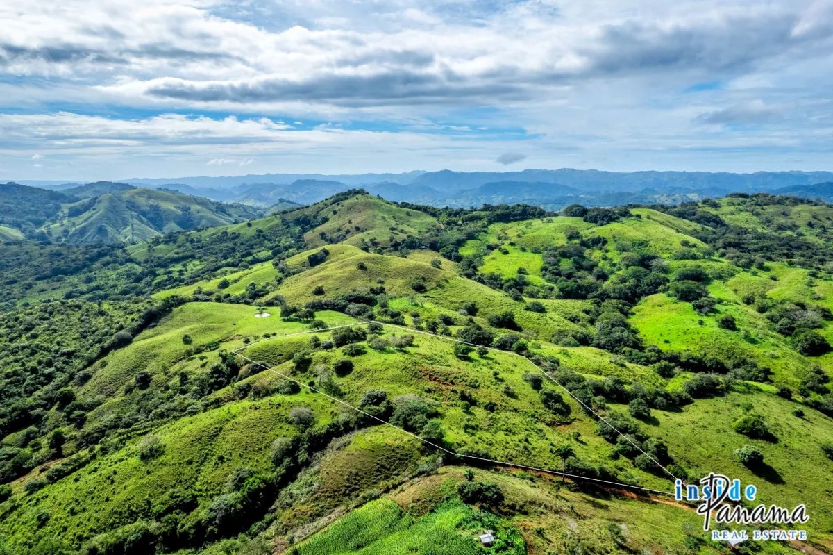 Terreno à Venda em Las Tablas