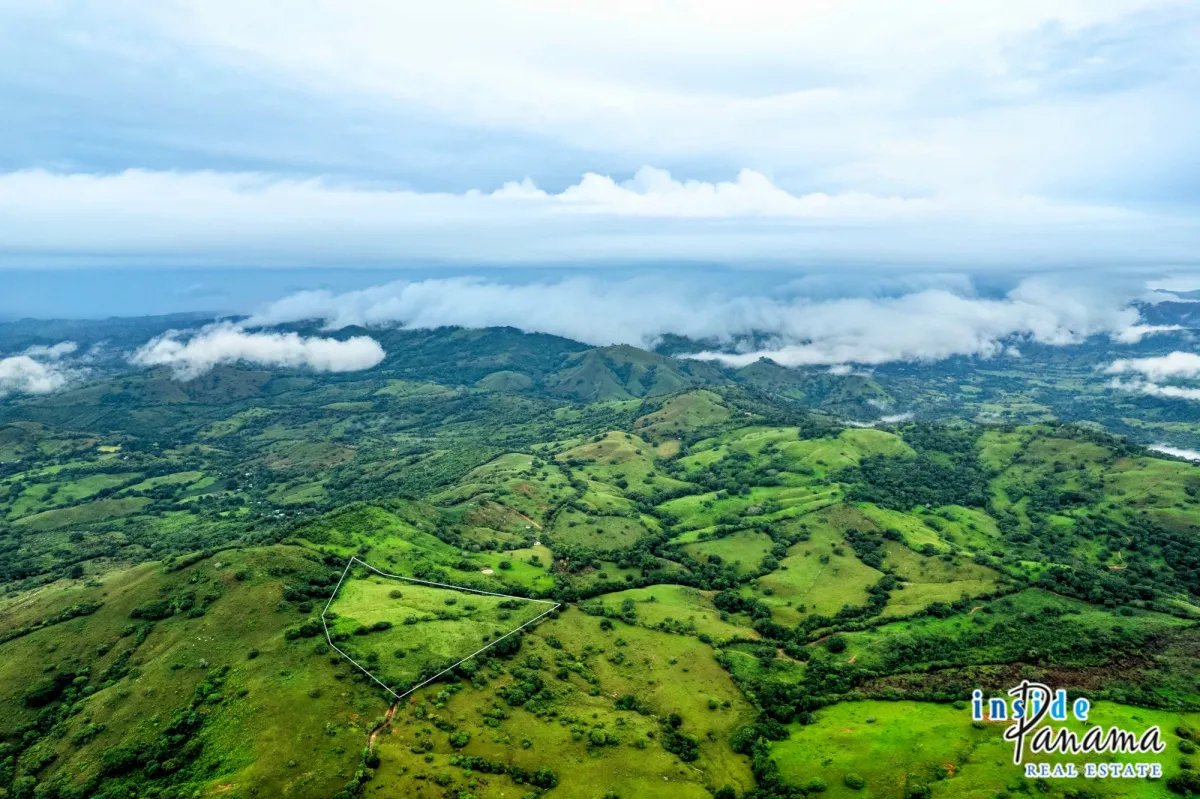 Terreno à Venda em Las Tablas