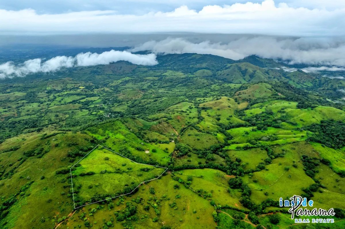 Terreno à Venda em Las Tablas