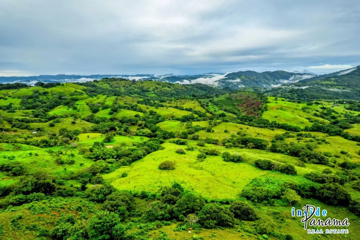Terreno à Venda em Las Tablas