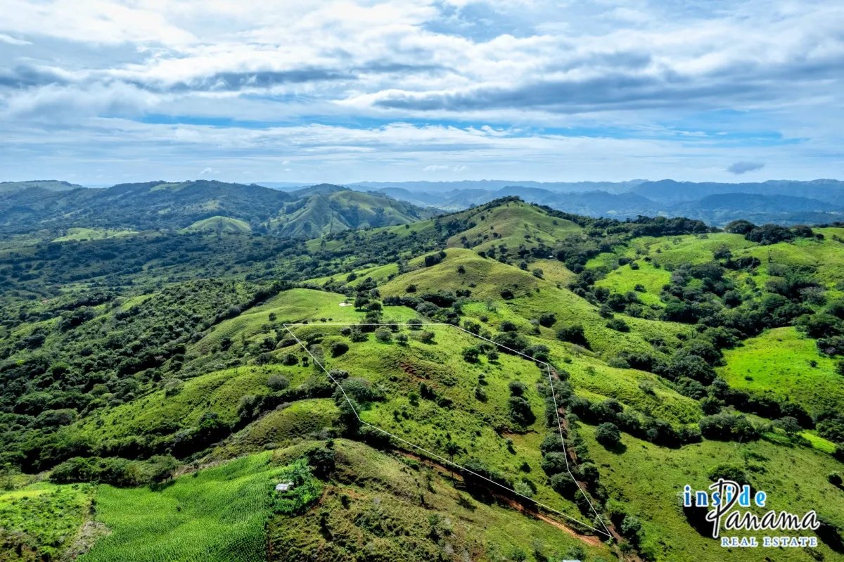 Terreno à Venda em Las Tablas