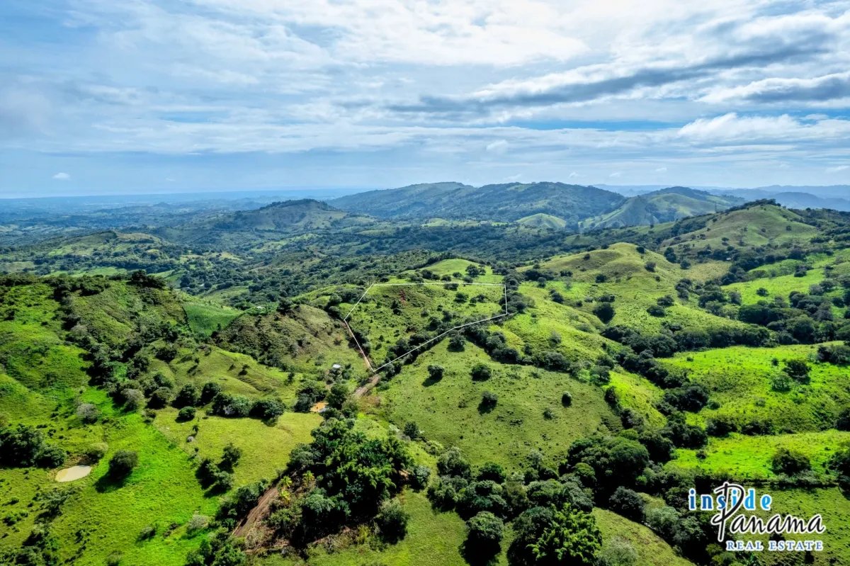 Terreno à Venda em Las Tablas