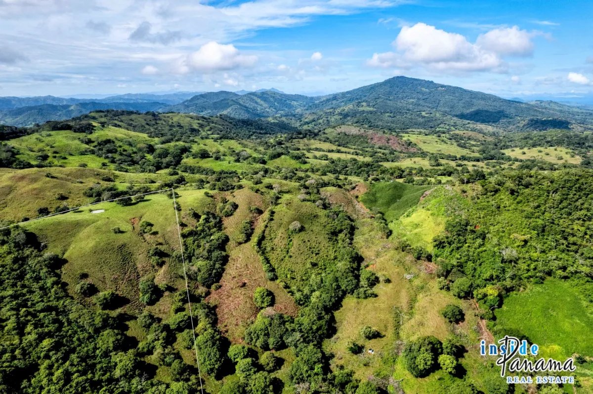 Terreno à Venda em Palmira - Las Tablas
