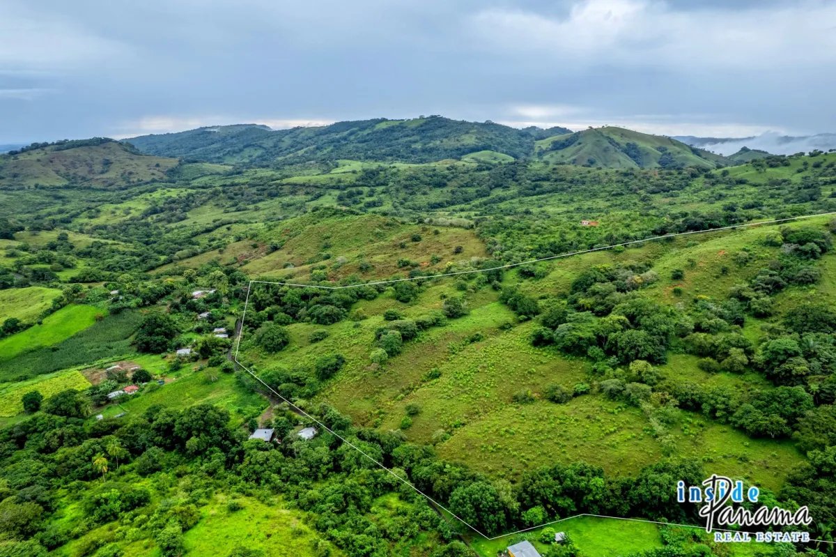 Terreno à Venda em Palmira - Las Tablas