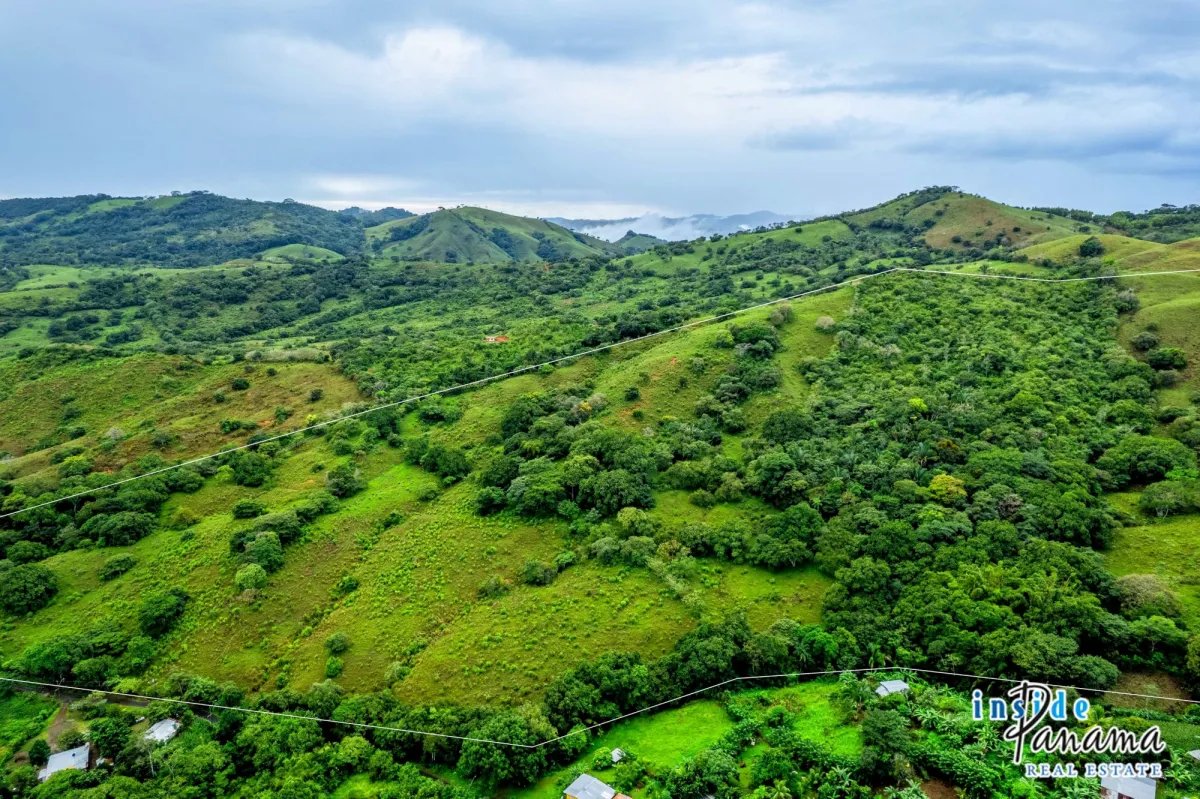 Terreno à Venda em Palmira - Las Tablas
