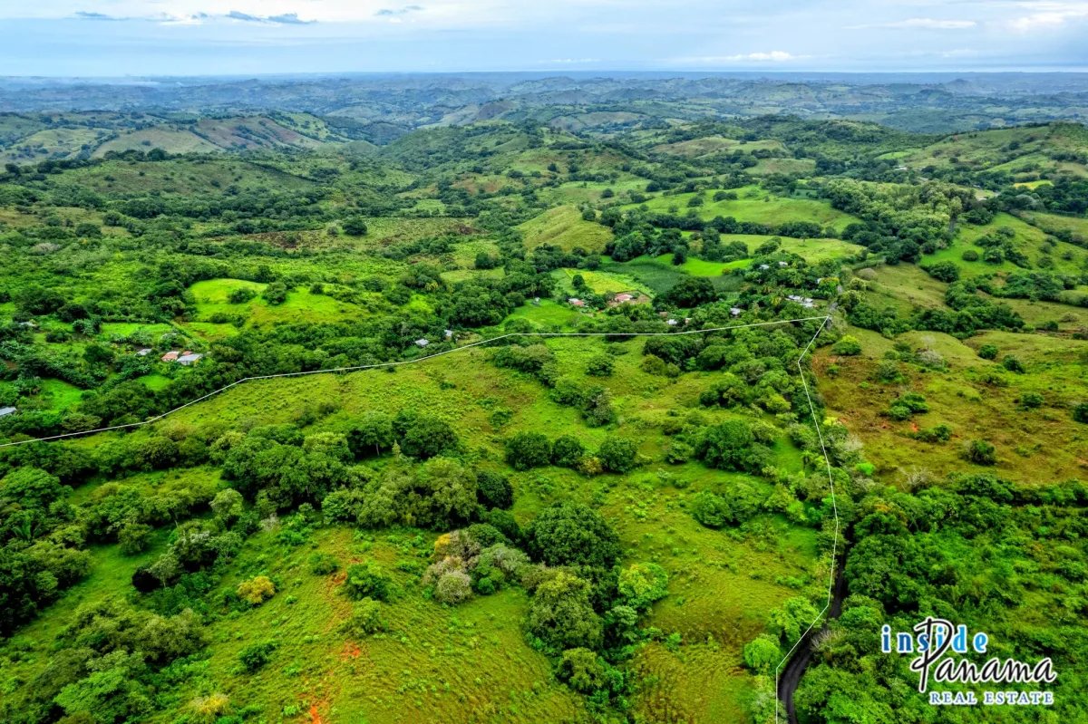 Terreno à Venda em Palmira - Las Tablas