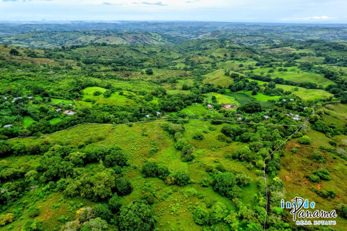 Terreno à Venda em Palmira - Las Tablas