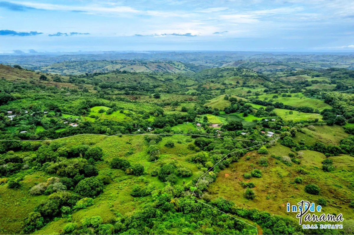 Terreno à Venda em Palmira - Las Tablas