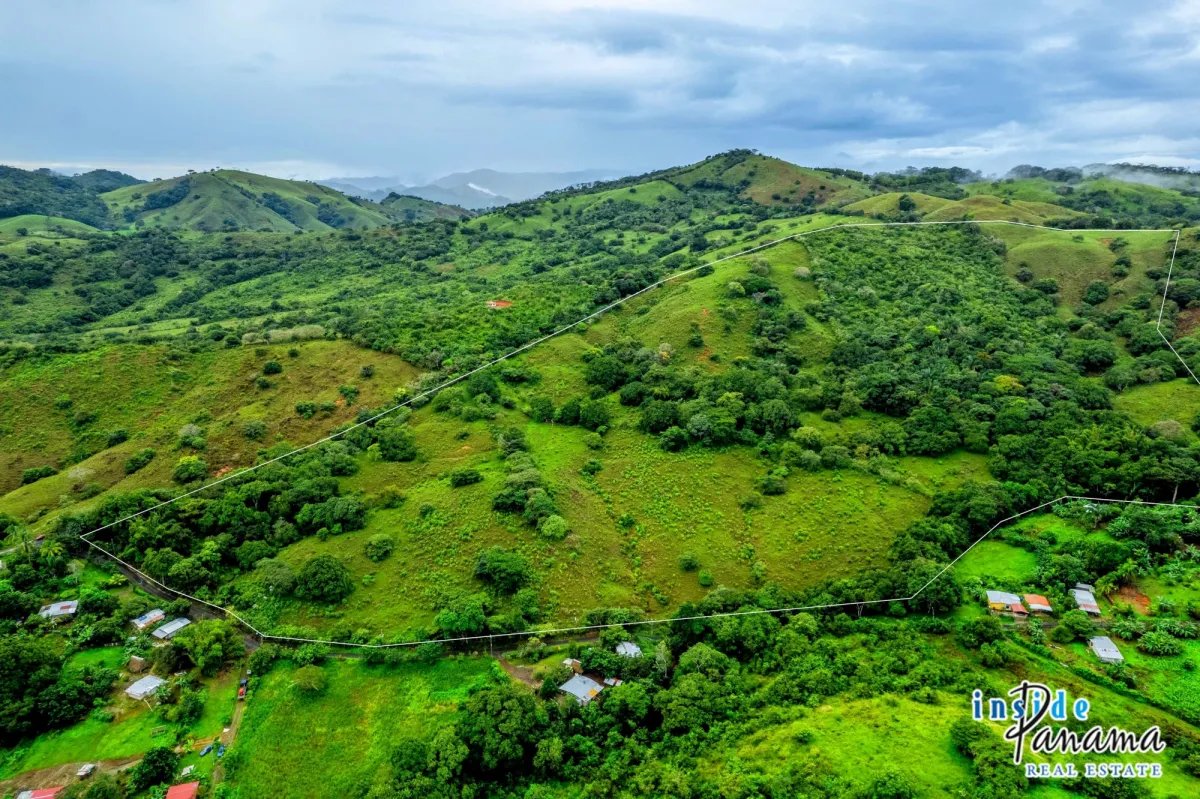 Terreno à Venda em Palmira - Las Tablas
