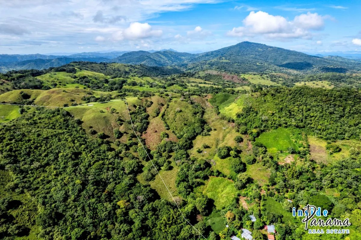 Terreno à Venda em Palmira - Las Tablas