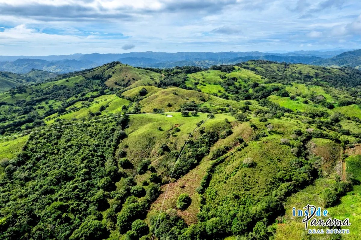 Terreno à Venda em Palmira - Las Tablas