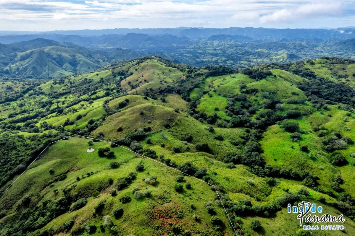 Terreno à Venda em Palmira - Las Tablas