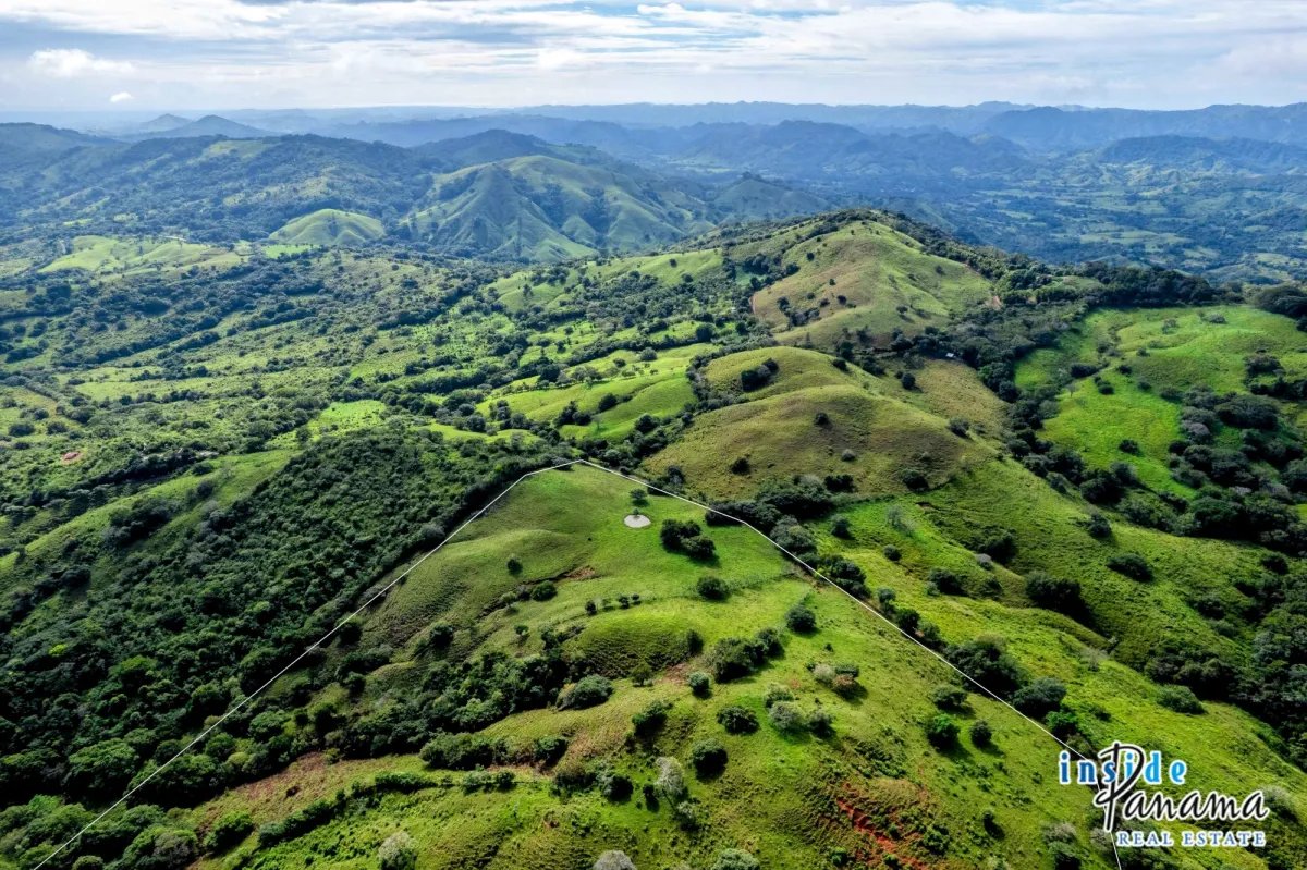 Terreno à Venda em Palmira - Las Tablas