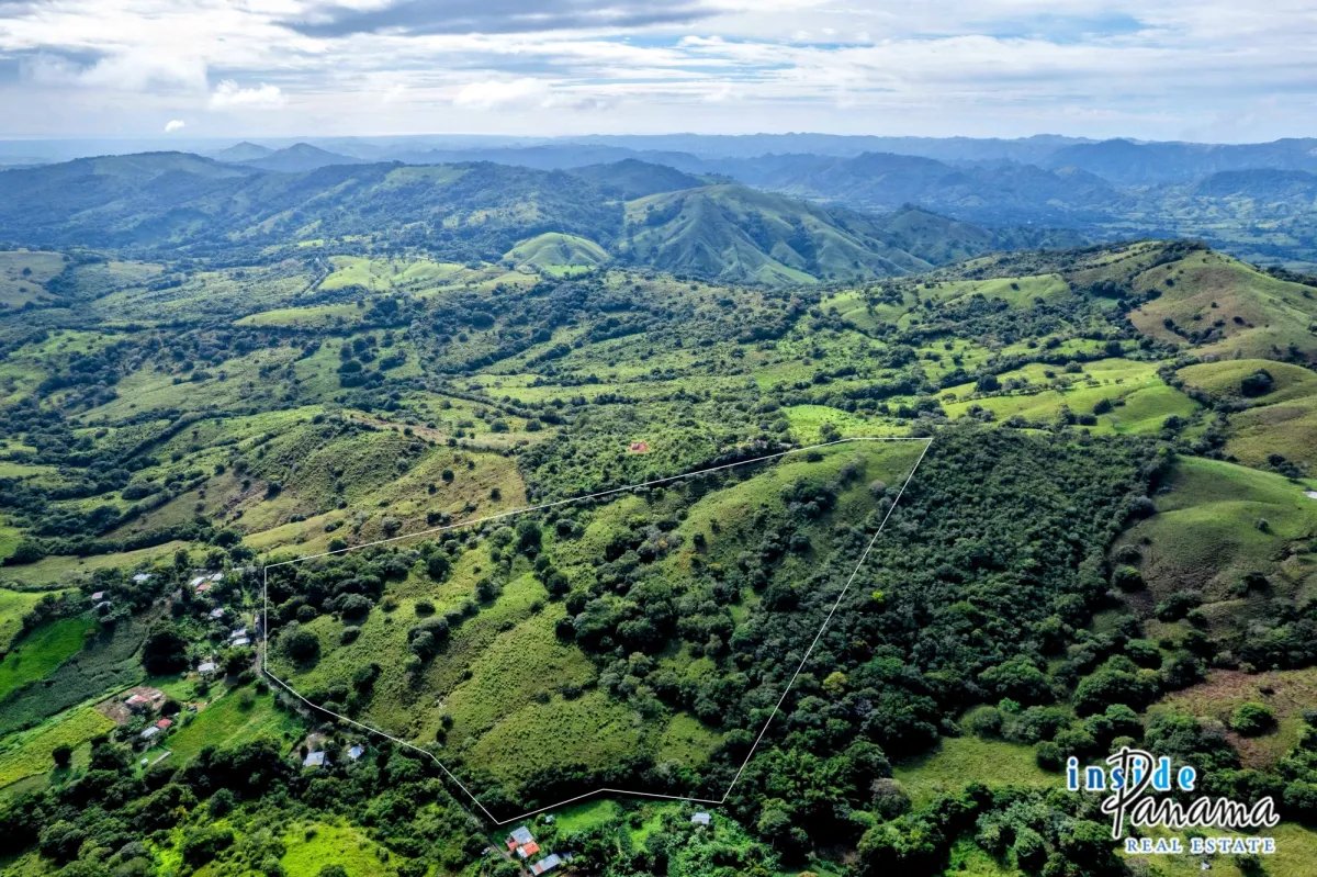 Terreno à Venda em Palmira - Las Tablas
