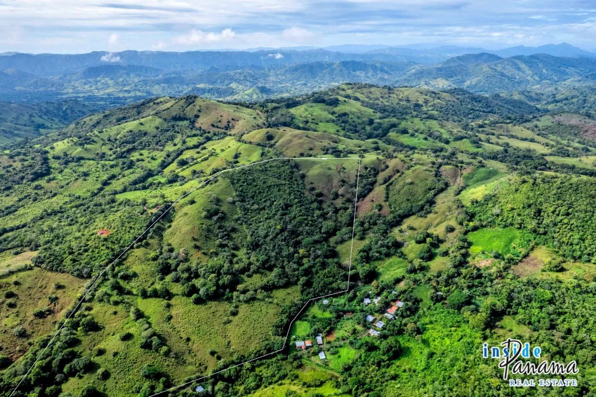 Terreno à Venda em Palmira - Las Tablas