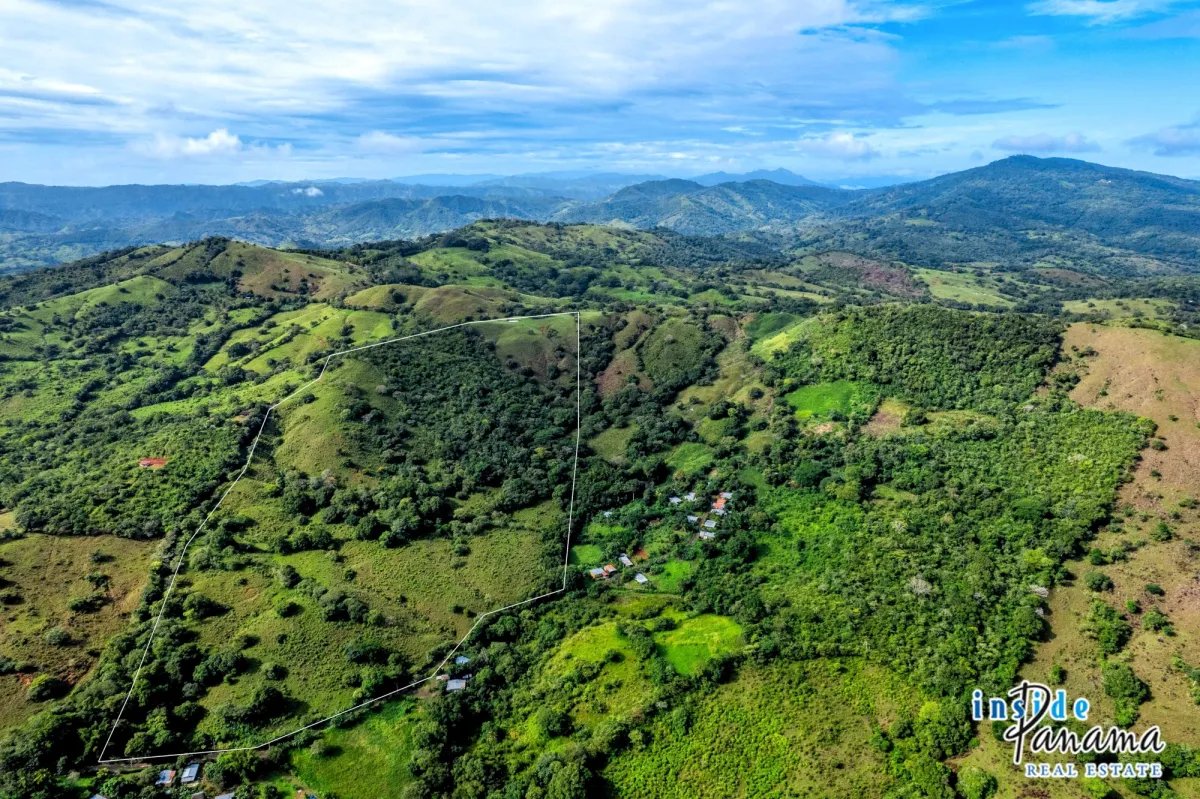 Terreno à Venda em Palmira - Las Tablas