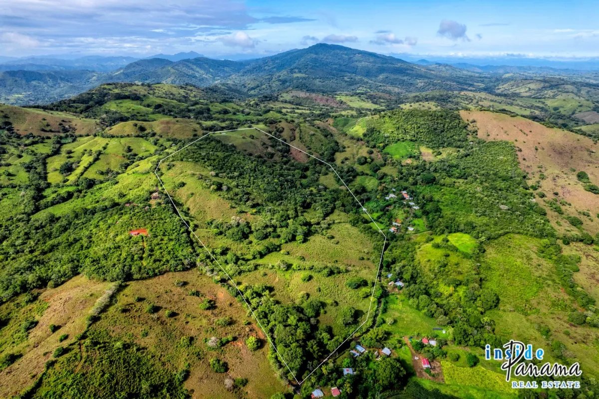 Terreno à Venda em Palmira - Las Tablas