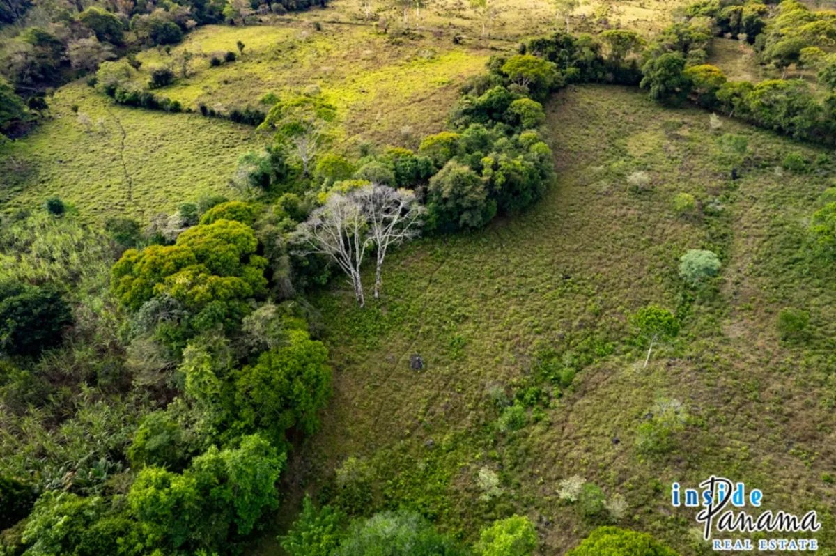Terreno à Venda em Boquerón