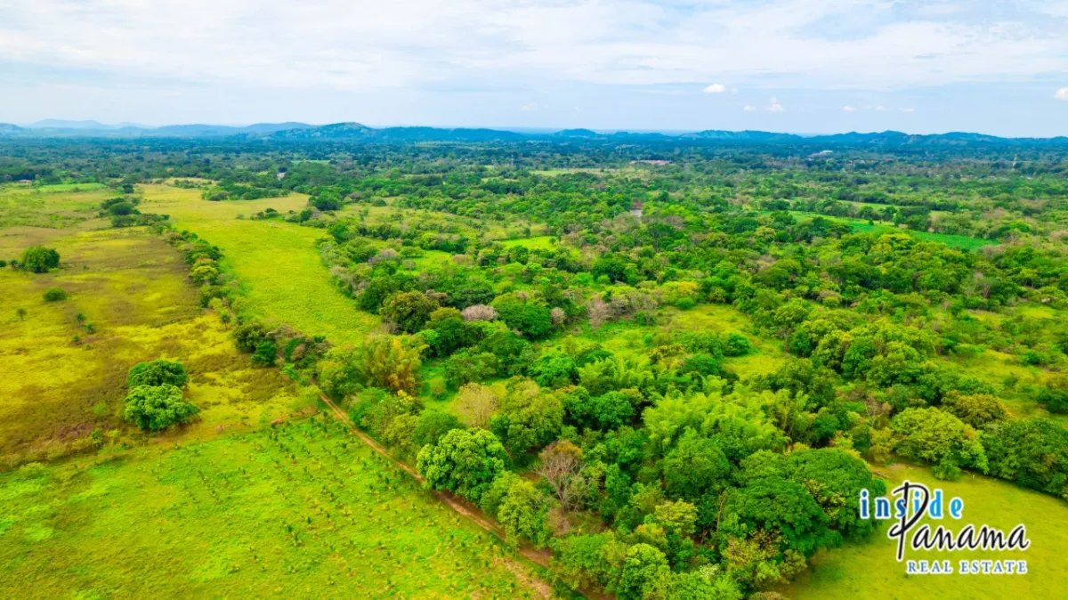 Terreno à Venda em Boquete